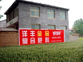 宁陕如何让墙体广告展现最大化效果