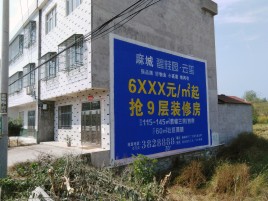 宁陕墙体广告质量分析