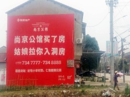 宁陕墙体广告在乡镇、农村市场的媒体优势