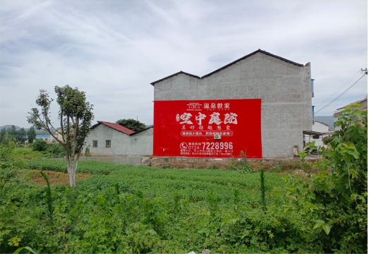 宁陕做墙体广告的意义